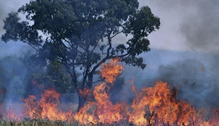 Liberty Medical Supports the Bushfire Efforts