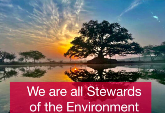 We are all Stewards of the Environment